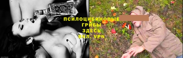индика Вязьма