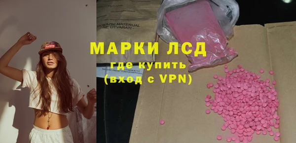 индика Вязьма