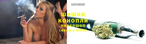 индика Вязьма
