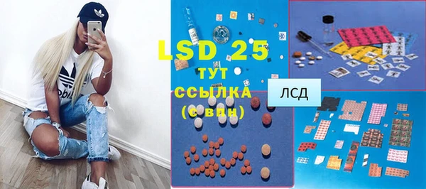 индика Вязьма