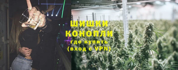 индика Вязьма