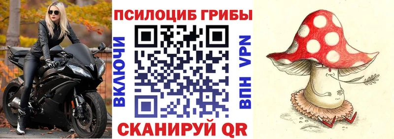Галлюциногенные грибы Magic Shrooms KRAKEN маркетплейс Елец